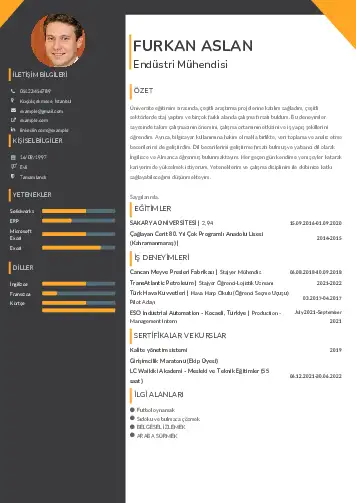 Endüstri Mühendisi CV Örnekleri cv indir